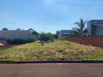 Terreno - Venda - Loteamento Villa Real - Palotina - PR