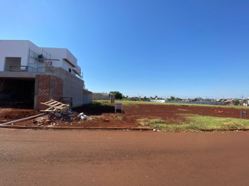 Terreno - Venda - Jardim Planalto - Palotina - PR