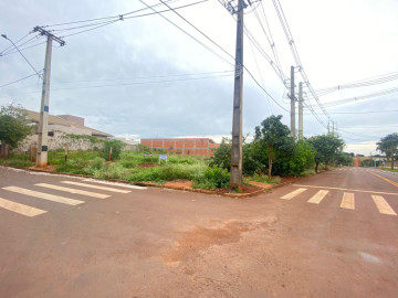 Terreno - Venda - Residencial Ibirapuera - Palotina - PR