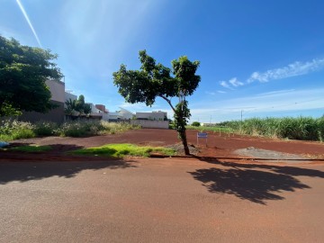 Terreno - Venda - Jardim Itália - Palotina - PR